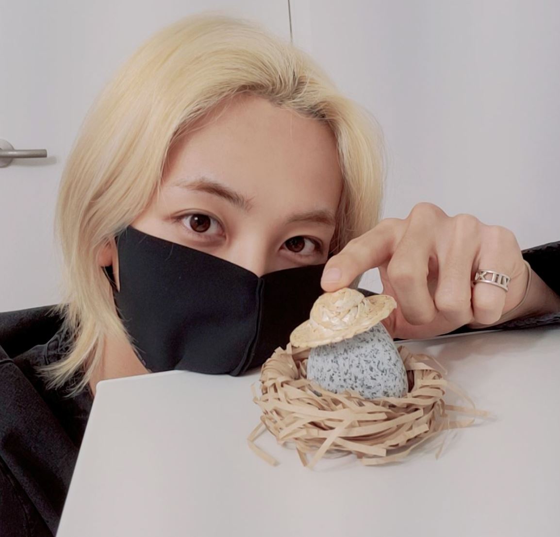 pet rocks have become popular among south korean teens to cure loneliness