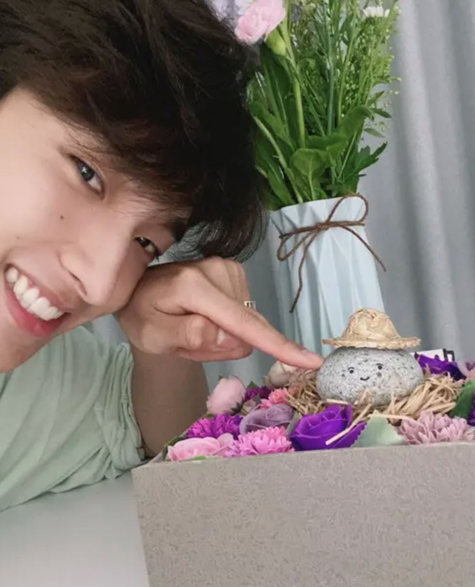 pet rocks have become popular among south korean teens to cure loneliness
