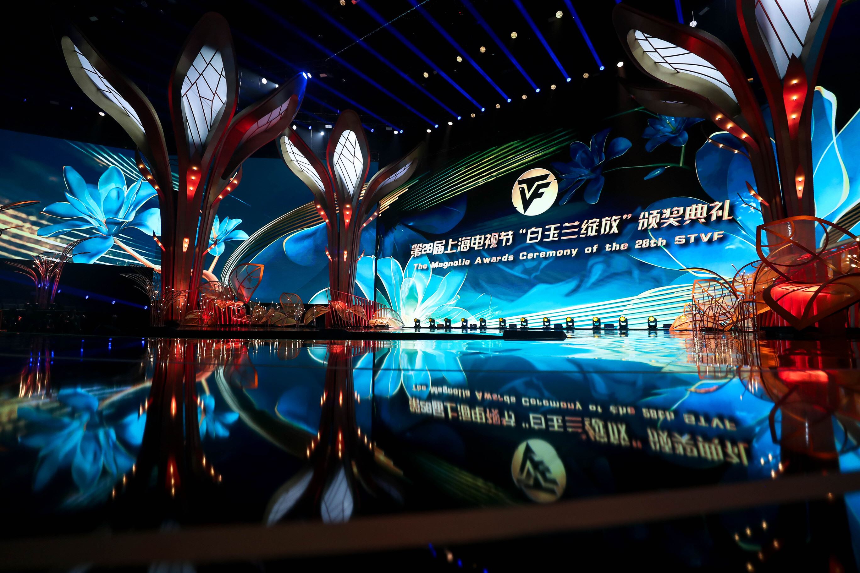 上海电视节白玉兰入围名单公布❗杨紫、周迅等人争最佳女主角🔥