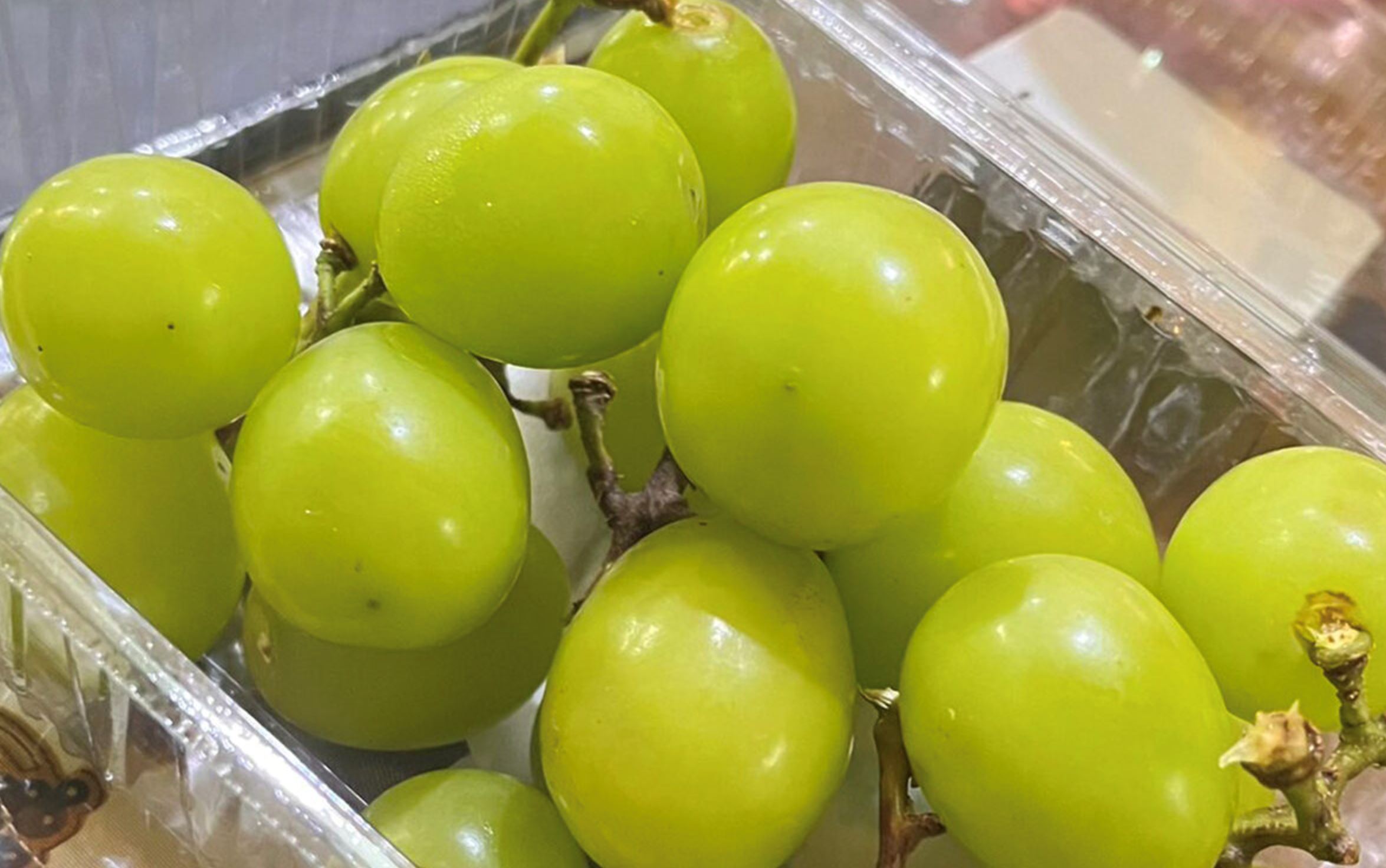 health ministry confirms shine muscat grapes safe with no excessive pesticide residues