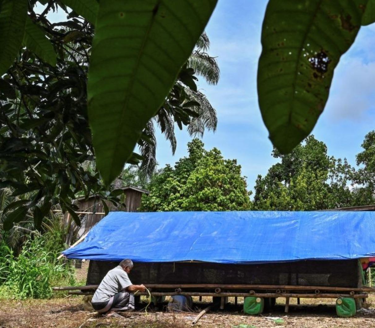terengganu grandfather builds floating pen to shield livestock from monsoon floods