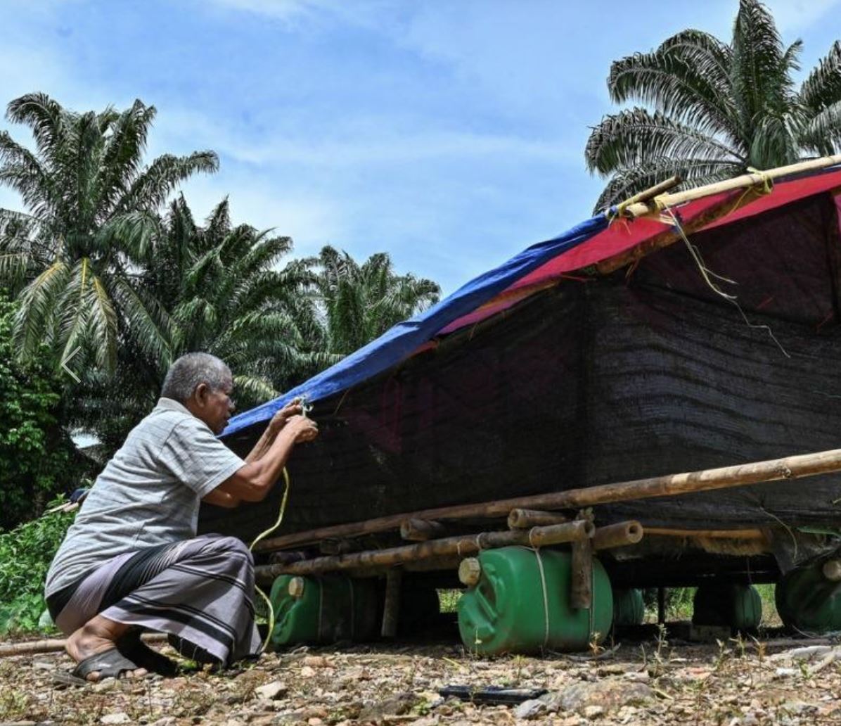 terengganu grandfather builds floating pen to shield livestock from monsoon floods