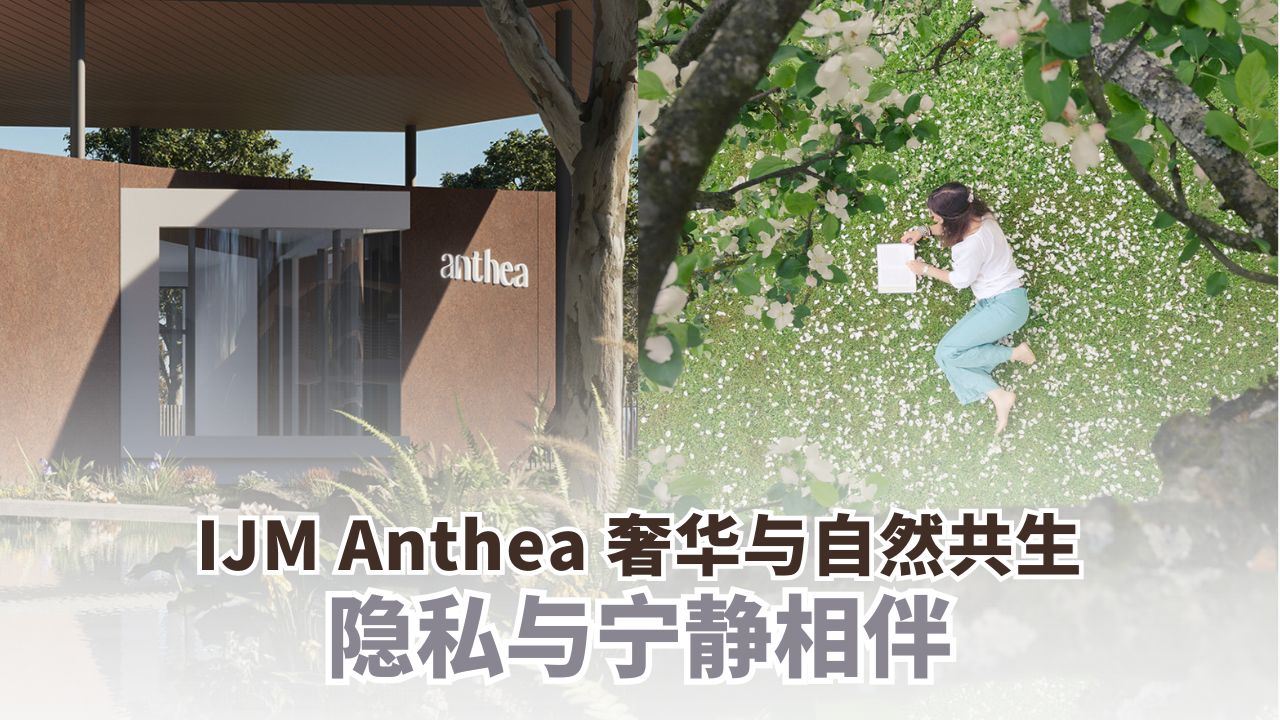 IJM Anthea促销活动