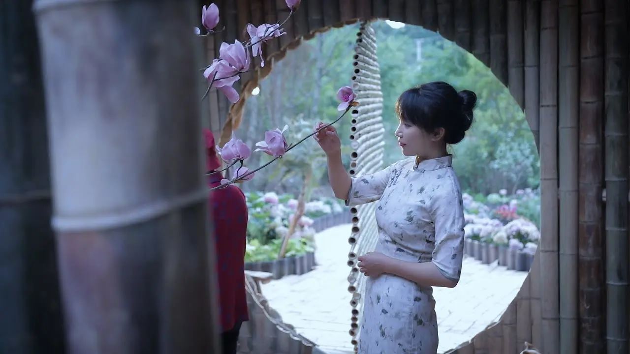 🇨🇳李子柒官宣回归啦❗停更3年再发视频🔥