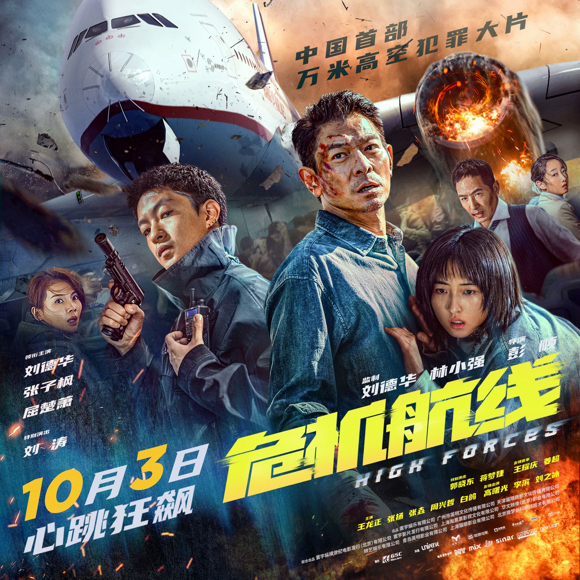 🎬《危机航线》刘德华1个打12❗1比1还原客机✈️