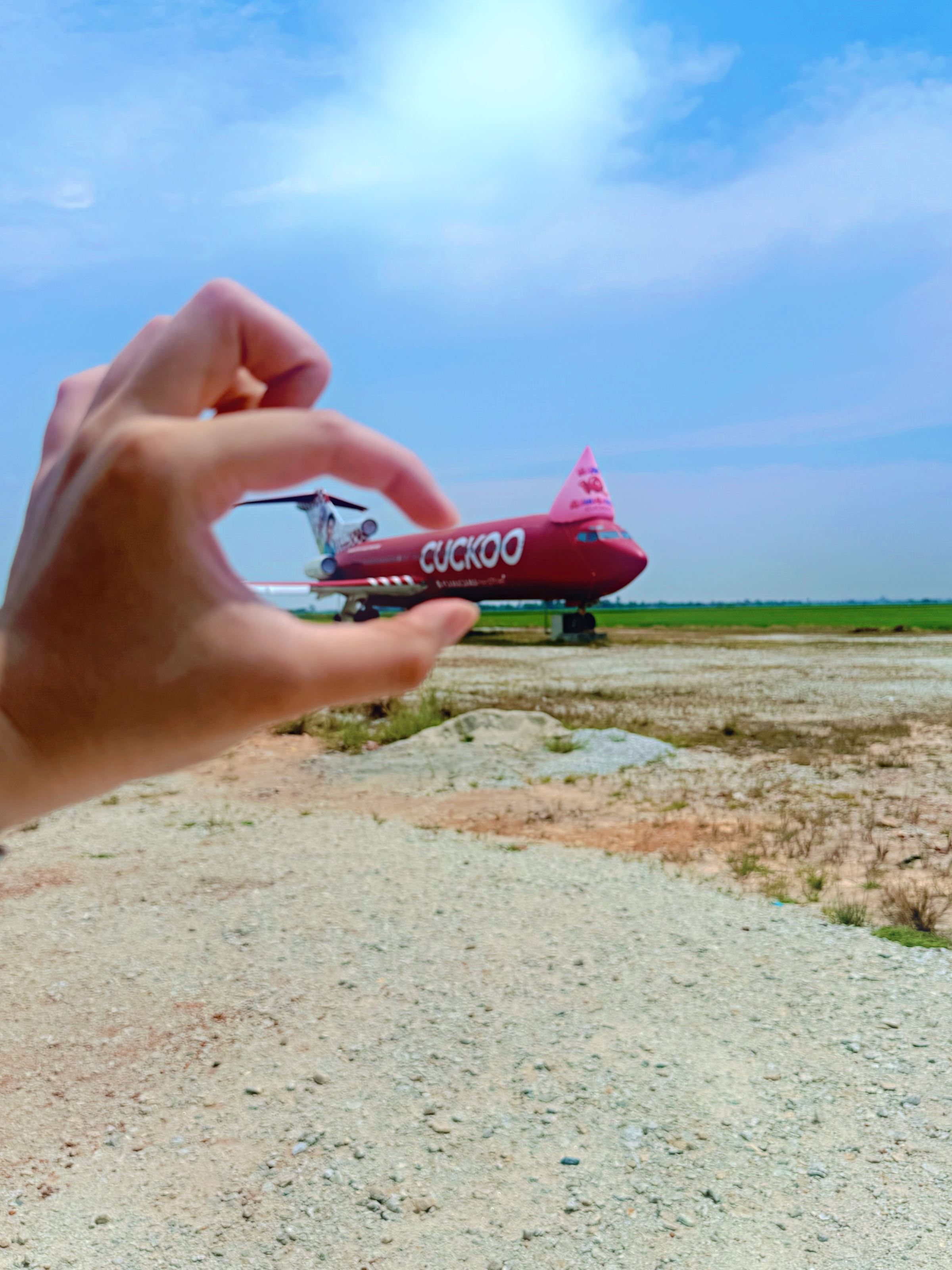 cuckoo飞机