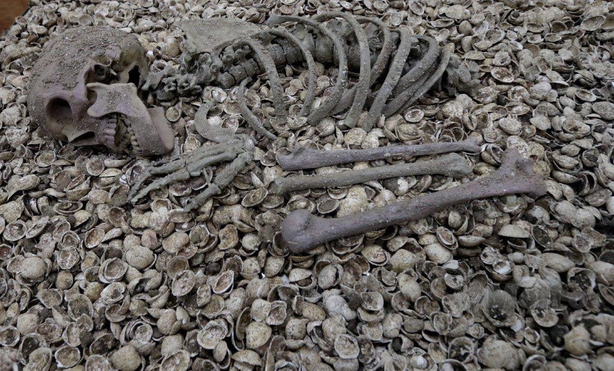 41 rangka purba manusia ditempatkan di belanda akan dikembalikan ke pulau pinang