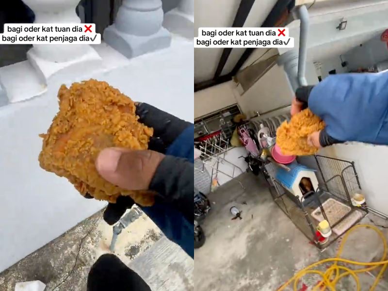 “your order is here!” rider “delivers” fried chicken to dog while owner’s away