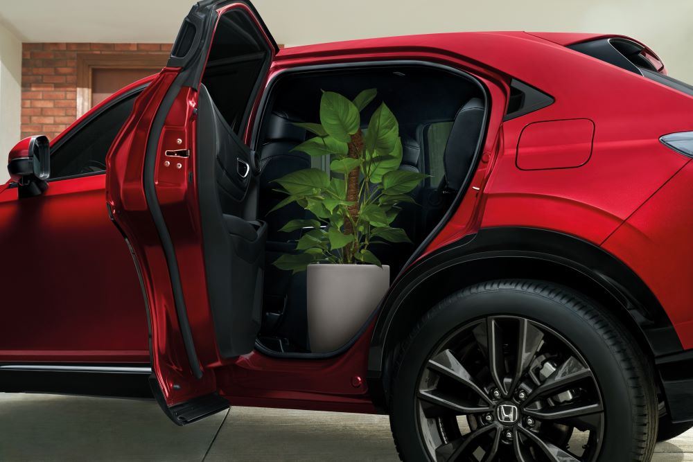 A car with its door opened and a plant on the inside