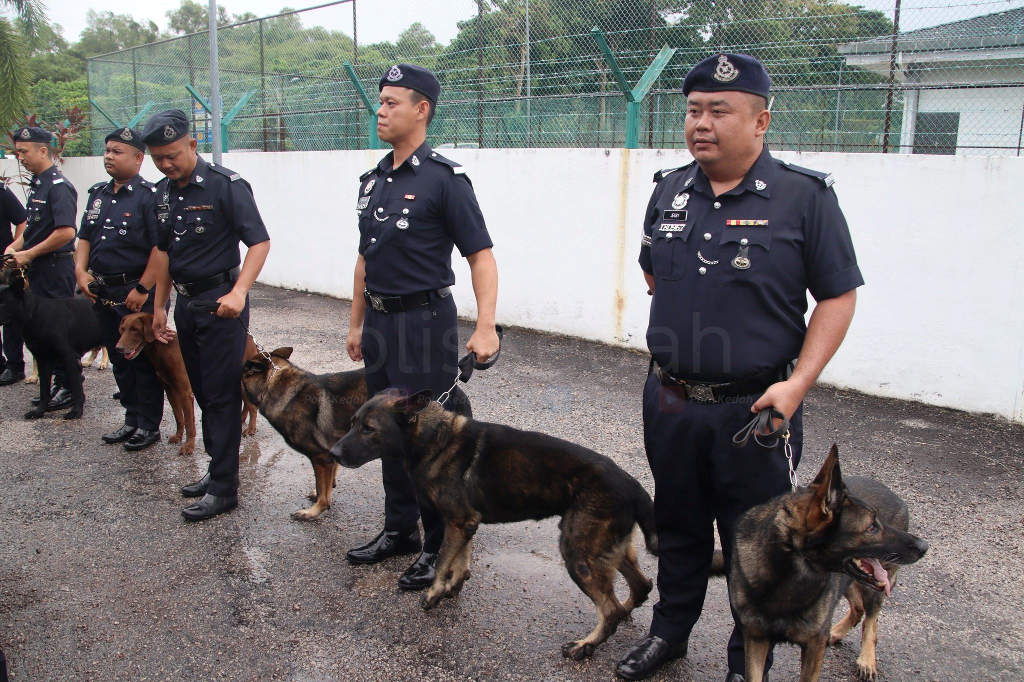 malaysians can give retired police k9 dogs a forever home through pdrm’s adoption programme