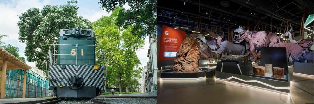 花小钱游香港：7大超值攻略，吃喝玩乐全搞定！