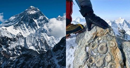 ramai tak tahu, gunung everest rupanya pernah tenggelam di dasar laut!